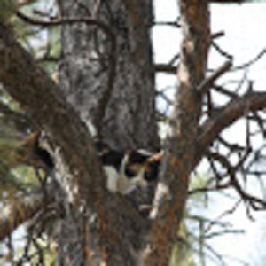 Meet your Posher, Ruben